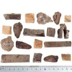 Calendario De Adviento 2023 Para Perros De Wolf Of Wilderness Sin Cereales -Ofertas Mascotas Tienda wow raw mixed fg 5427 2 1