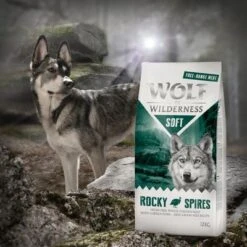 Wolf Of Wilderness Soft Rocky Spire Pollo De Corral Y Pintada -Ofertas Mascotas Tienda wow soft kampagne rocky spires 1000x1000 1 0