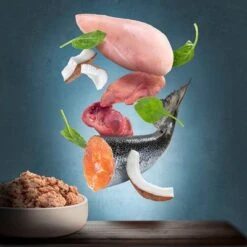 Purizon Adult 12 X 400 G Para Gatos, Sin Cereales - Pack Ahorro -Ofertas Mascotas Tienda zop 21 117 purizon katze nassfutter marketingboards lachs p2 5